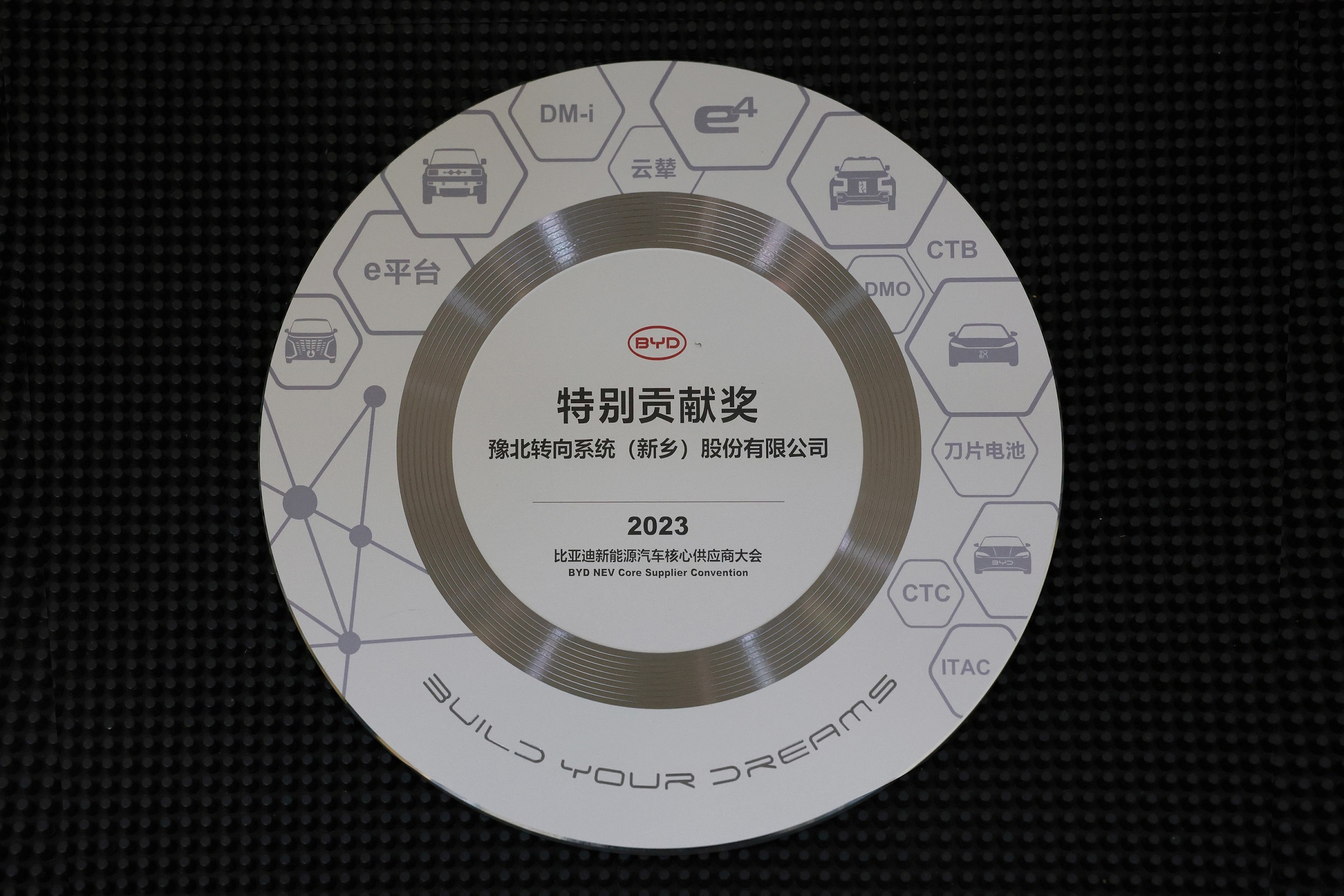 比亚迪特别贡献奖